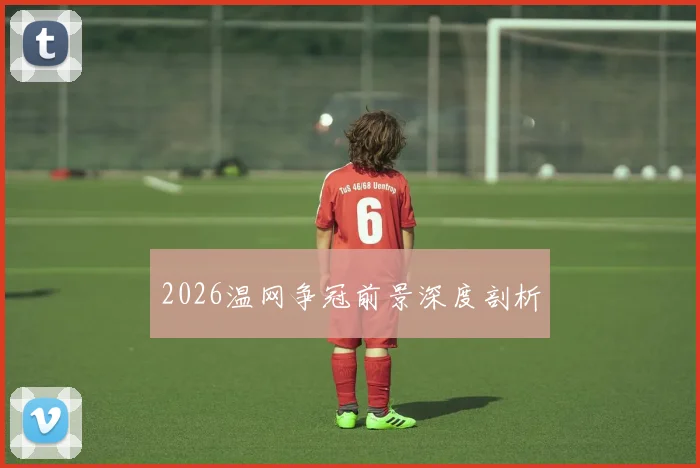 2026温网争冠前景深度剖析
