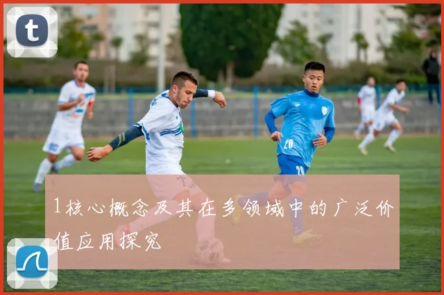 1核心概念及其在多领域中的广泛价值应用探究