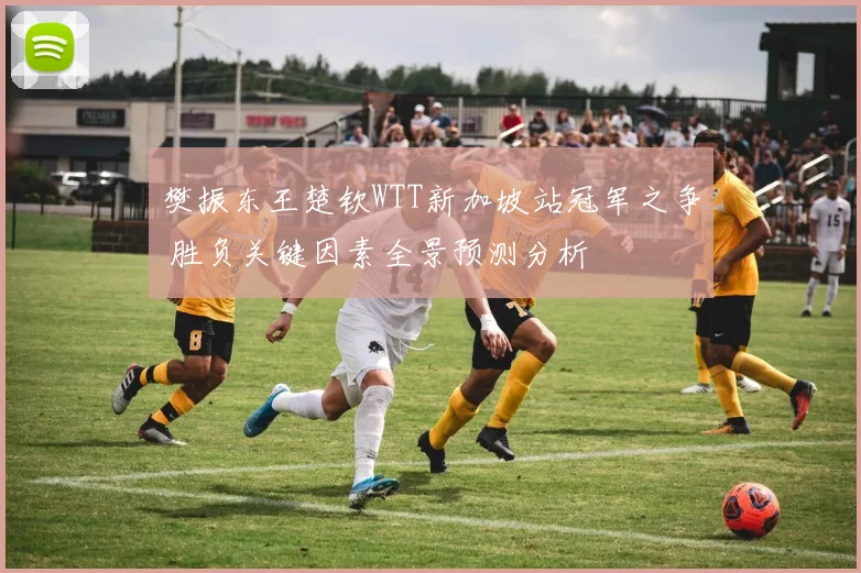 樊振东王楚钦WTT新加坡站冠军之争 胜负关键因素全景预测分析
